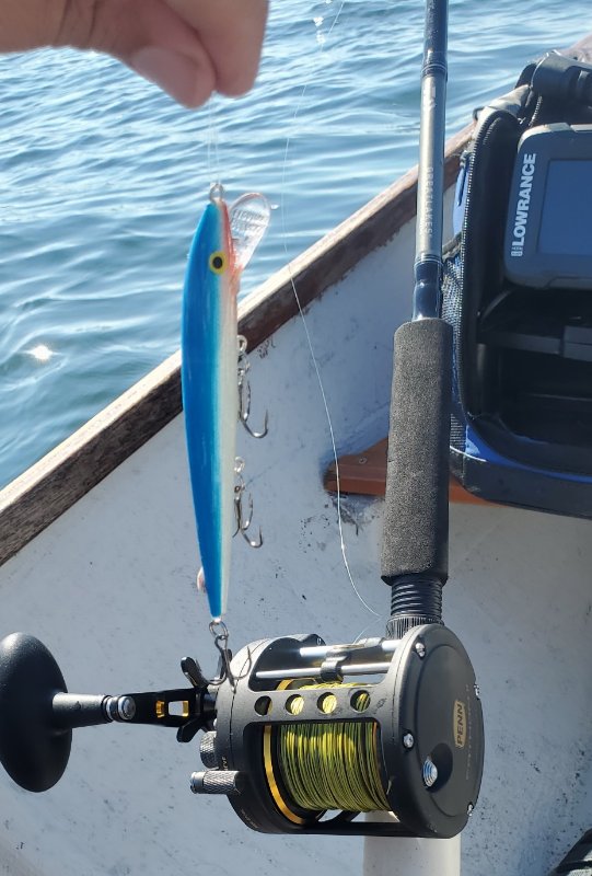 not the typical salmon lure...